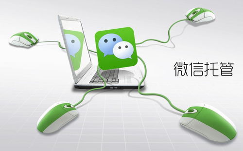 优化电脑图文设计制作业务流程 高效降低运营成本与提升运营效果